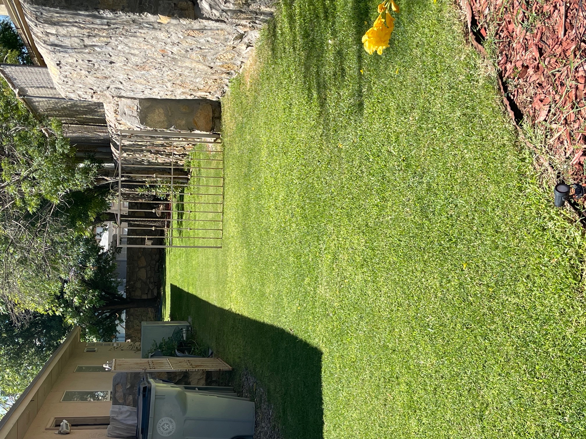Beautifully maintained weed-free lawn in El Paso